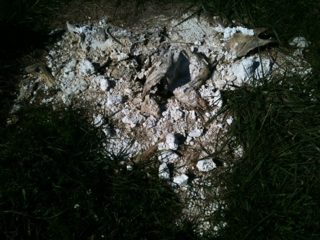 If this were your body, where would you be?