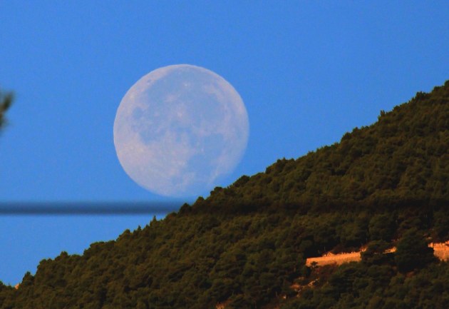 44847033394_52de7d6bfa_b